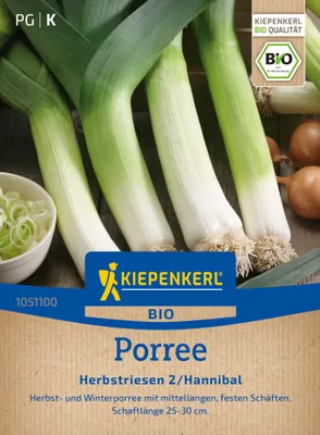 Artikelbild 2 von 'BIO Porree Herbstriesen 2/Hannibal' aus der Kategorie Lauchsamen