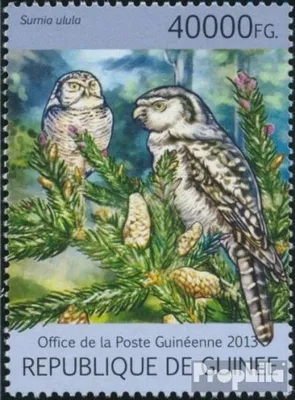 Produktbild von Briefmarken Guinea 2013 Mi 9732 (kompl. Ausgabe) postfrisch Eulen (Surnia ulula)