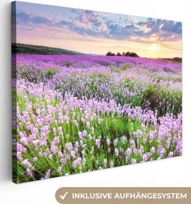 Produktbild von MuchoWow® - Leinwandbilder - Blumen - Lavendel - Lila - Himmel - Sonnenuntergang - Wiese - Natur, Wandbild, Wanddeko Bilder Wohnzimmer, 80x60cm