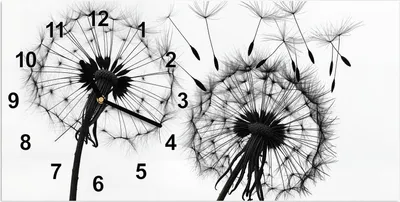 Produktbild von Wanduhr aus Glas mit Motiv Pusteblumen- 60 x 30 cm - inkl. Aufhängesystem