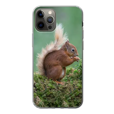 Produktbild von MuchoWow® Handyhülle Schutzhülle Hülle für iPhone 13 Pro Waldtier - Eichhörnchen - Moos Silikon Softcase Handy Hülle - Handy-Tasche