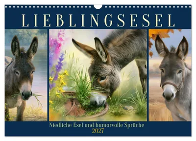 Produktbild von Lieblingsesel (Wandkalender 2027 DIN A3 quer), CALVENDO Monatskalender