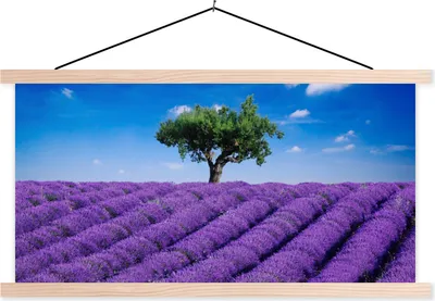 Produktbild von MuchoWow® Textilposter Eine Nahaufnahme eines Lavendelfeldes 60x30 cm mit holzfarbenen Rahmen - Dekoration
