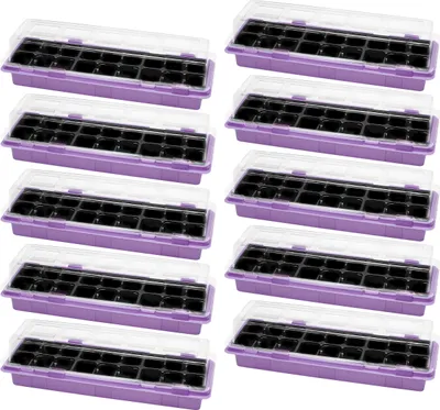 Produktbild von Garronda Mini Gewächshaus Anzuchtkasten Pflanzen im Innenbereich Anzuchttöpfe GD-0043 (47x16 cm; Violett, 10 Stück)