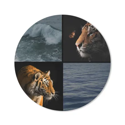 Produktbild von MuchoWow® Mauspad Mousepad Collage - Tiger - Schmetterling - Meer 20x20 cm - Mousepads - Maus Mat - Pad - Mausunterlage - Schreibtischmatte