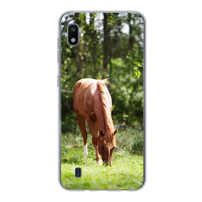 Produktbild von MuchoWow® Handyhülle Schutzhülle Hülle für Samsung Galaxy A10 Pferd - Blumen - Licht Silikon Softcase Handy Hülle - Schutzhülle