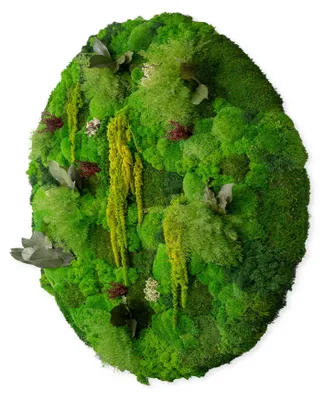 Produktbild von Rundes Moosbild Dschungel Design (⌀40 cm, Origin)