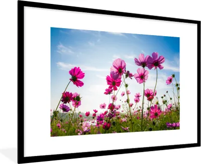 Produktbild von MuchoWow® MuchoWow® Gerahmtes Poster Blumen - Rosa - Cosmea 90x60 cm - Poster mit zchwarzem Bilderrahmen - Wanddekoration - Fotos