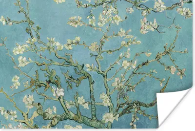 Produktbild von MuchoWow® Poster Van Gogh - Blüte - Alte Meister - Vincent van Gogh 120x80 cm - Bilder