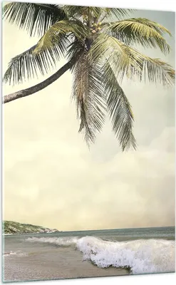 Produktbild von Bilder auf glas - Einteilig - Palme Strand Insel - 70x100cm - Glasbilder - Wandbilder - Bilder - zum Aufhängen bereit - Wanddekoration aus Glas - Glas Bilder - Wandbild auf Glas - GPA70x100-4154