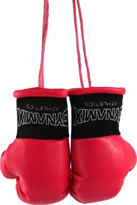 Produktbild von Dynamix Athletics Autospiegel Mini Boxhandschuhe Carbonix(Pink)