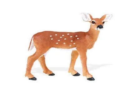 Produktbild von Safari Ltd 180229 Weißschwanzkitz 6 cm Serie Wildtiere