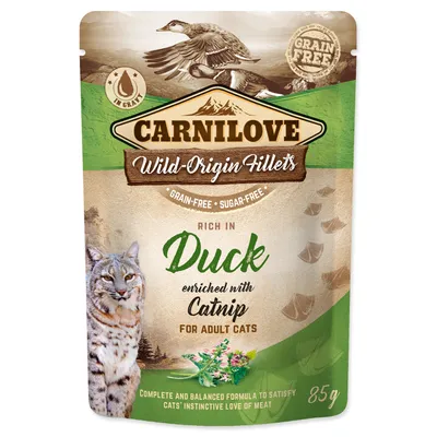 Produktbild von Brit 8595602538362, Adult, Ente, 85 g