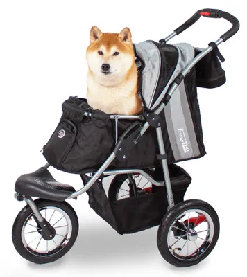 Produktbild von Hundebuggy Innopet Comfort Air Eco Schwarz/Silber – Hundewagen Katzenwagen mit 30cm Luftreifen, einhändig faltbar, für Waldwege geeignet – reflektierende Streifen, Organizer Vorderrad fixierbar
