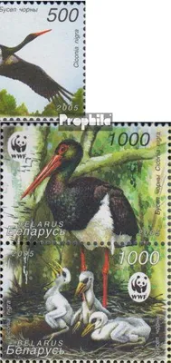 Produktbild von Briefmarken Weißrussland 2005 Mi 597-598,599-600 Paar (kompl.Ausg.) postfrisch Schwarzstorch