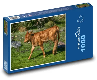 Obrázok produktu pre Puzzle 1000 Teliatko na Zelenej Lúke - martinpuzzle