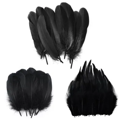 300 schwarze Naturfedern zum Basteln, 6-17 cm, 3 Größen