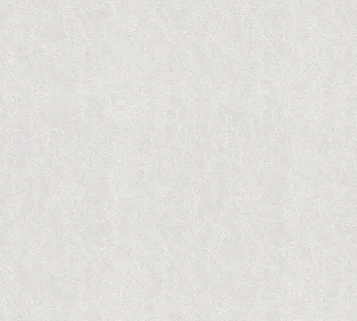 Produktbild von A.S. Création Vliestapete Meistervlies Pro Protect 2, weiss, überstreichbar, 25,00 m x 1,06 m, 145314, 1453-14