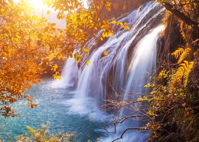 Produktbild von Papermoon VLIES Fototapete, Digitaldruck, Herbst Wasserfall (715)