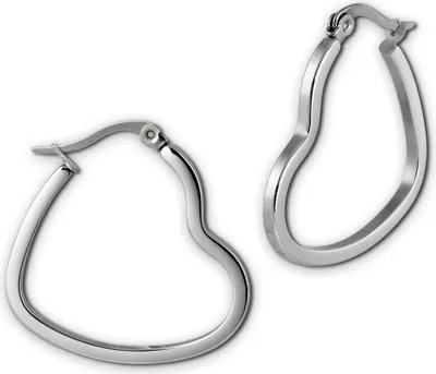 Image de Amello Boucles d'oreilles en acier inoxydable pour femmes argenté ESOS99J