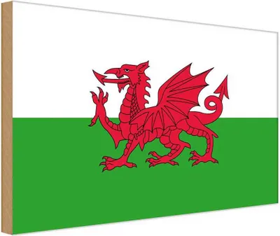 Produktbild von vianmo Holzschild 12x18 cm Wales Flagge Geburtstag Feiern Party