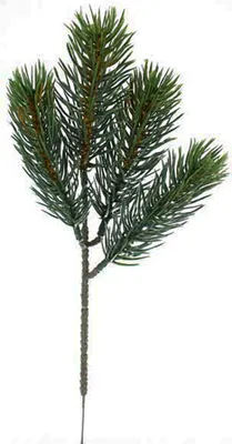 Produktbild von 24 x künstliche Tannenzweige L 23 cm Weihnachtsdeko Tannenzweige Tannenpick Tannenwedel