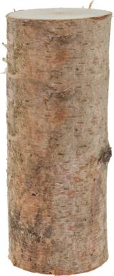 Birkenstämmchen für Basteln Deko in 12 x 30 cm