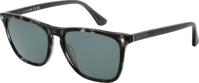 Zdjęcie produktu dla Okulary przeciwsłoneczne WE0363 20V 55