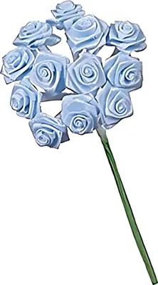 Produktbild von Diorröschen 12 Blüten hellblau