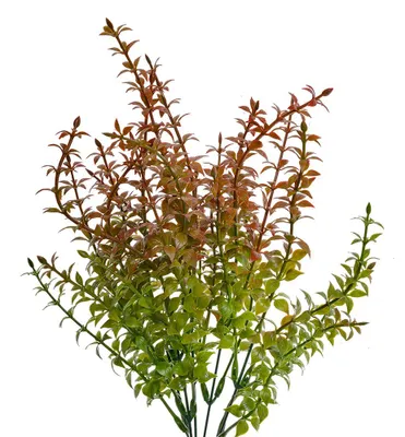 Image de Clayre & Eef Plante artificielle 40 cm Vert Plastique