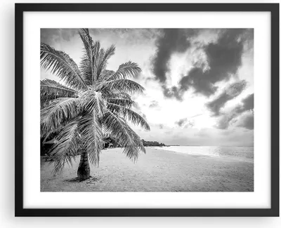 Produktbild von Gerahmtes Poster - Schwarzer Rahmen - Monochrom Strand Wolken - 50x40 cm - Wand Bild - Wanddeko - Wandbilder - Kunstposter - Wandposter - Bilderrahmen - Bilder - Kunstdruck - P2BAA50x40-4677