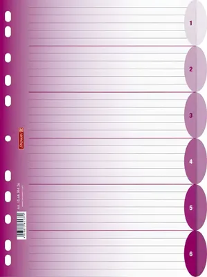 Produktbild von BRUNNEN Ringbuchregister A4 6teilig pink 106659426