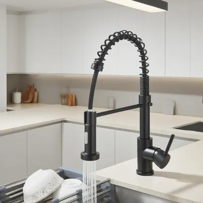 Immagine prodotto di Miscelatore per cucina, rubinetto per lavello, colore nero, rotazione a 360°, con doccetta, 2 funzioni spray