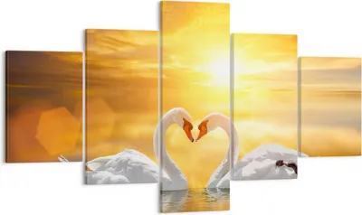 Produktbild von Bild auf Leinwand - Leinwandbild - Schwan Wasser Paar - 125x70cm - Wand Bild - Wanddeko - Leinwanddruck - Bilder - Kunstdruck - Wanddekoration - Leinwand bilder - Wandkunst - EA125x70-3872