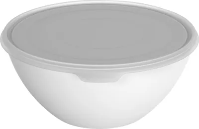 Produktbild von Rotho Schüssel + Deckel Caruba 8 L mistletoe white