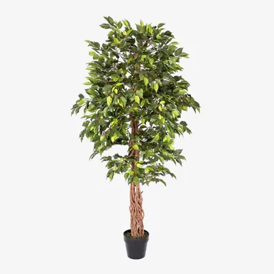 Immagine prodotto di HOMESCAPES Albero artificiale Ficus Benjamini verde 180 cm