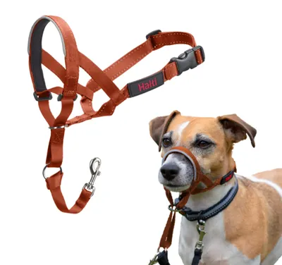 Productafbeelding van Company of Animals, muilkorf, kleur: oranje, maat: 1