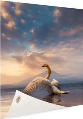 Produktbild von Gartenposter - 80x120 cm - Aufsteigender Schwan  - Modernes Wandbilder