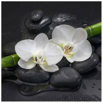 Produktbild von levandeo Glasbild 30x30cm Wandbild Glas Orchideen Bambus Steine Dekoration