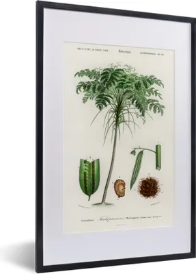 Produktbild von MuchoWow® MuchoWow® Gerahmtes Poster Baum - Vintage - Saatgut 40x60 cm - Poster mit zchwarzem Bilderrahmen - Poster in Rahmen