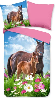 Produktbild von Good Morning Bettwäsche-Garnitur Dora Farbe Multi Größe 135x200+80x80