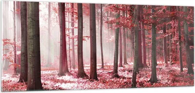 Produktbild von Bilder auf glas - Einteilig - Wald Rot Bäume - 100x40cm - Glasbilder - Wandbilder - Bilder - zum Aufhängen bereit - Wanddekoration aus Glas - Glas Bilder - Wandbild auf Glas - GAB100x40-4944