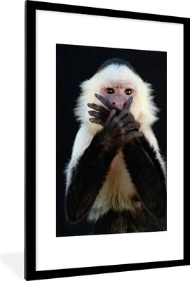 Produktbild von MuchoWow® Gerahmtes Poster Affe - Wilde Tiere - Porträt 60x90 cm - Poster mit Schwarzem Bilderrahmen Wandposter Rahmen Foto Bilder - Dekoration - Wandposter Wohnzimmer - Hochwertig