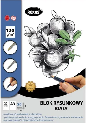 Zdjęcie produktu dla Blok rysunkowy A3/20K biały Premium