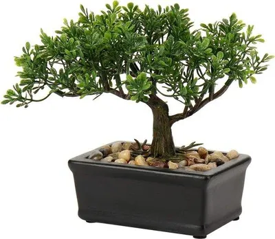 Zdjęcie produktu dla Mała sztuczna roślina bonsai do biura lub łazienki