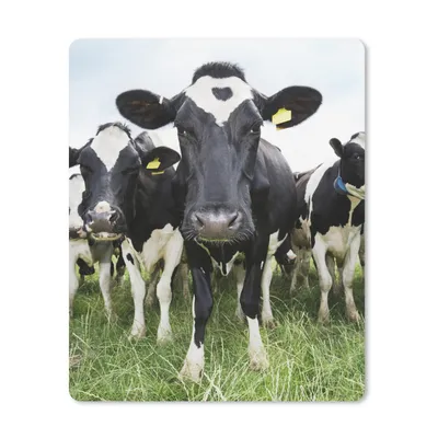 Produktbild von MuchoWow® Mauspad Mousepad Kühe - Gras - Frühling - Tiere - Wiese - Bauernhof 30x40 cm - Mousepads - Maus Mat - Pad - Mausunterlage - Mausmatten