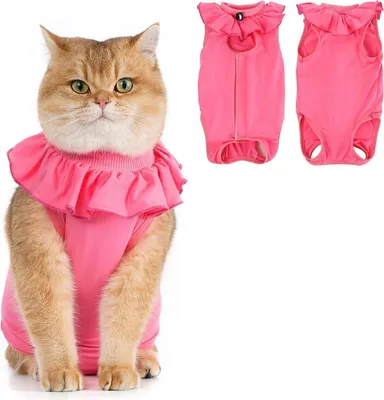 Image de Avont body pour chats pour la récupération après une opération ou une castration M Rosepink