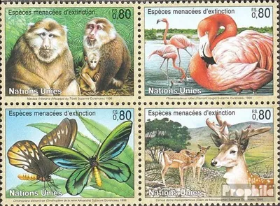 Produktbild von Briefmarken UNO - Genf 1998 Mi 330-333 Viererblock (kompl.Ausg.) gestempelt Gefährdete Tiere