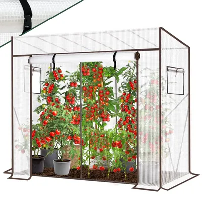 Immagine prodotto di Serra per pomodori con sistema di ventilazione