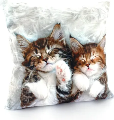 Produktbild von heimtexland ® Dekokissen Bezug Winter Tiere Foto Digitaldruck Kuschelige Velour Kissenhülle 40x40 Deko Kissen Typ831 Katzen